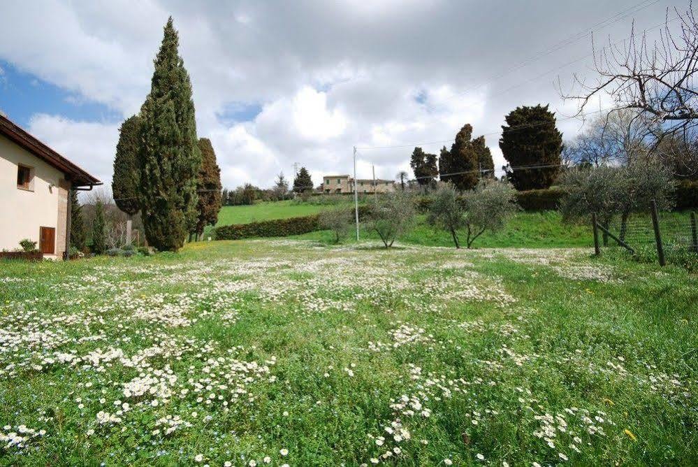 Agriturismo Villa Opera Volterra Ngoại thất bức ảnh